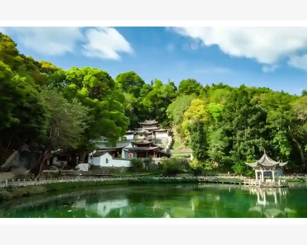 喝蔬菜汤：简单方法，调养脾胃